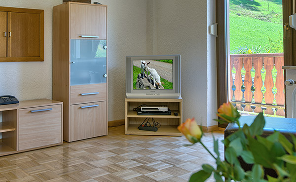 Ferienwohnung 2