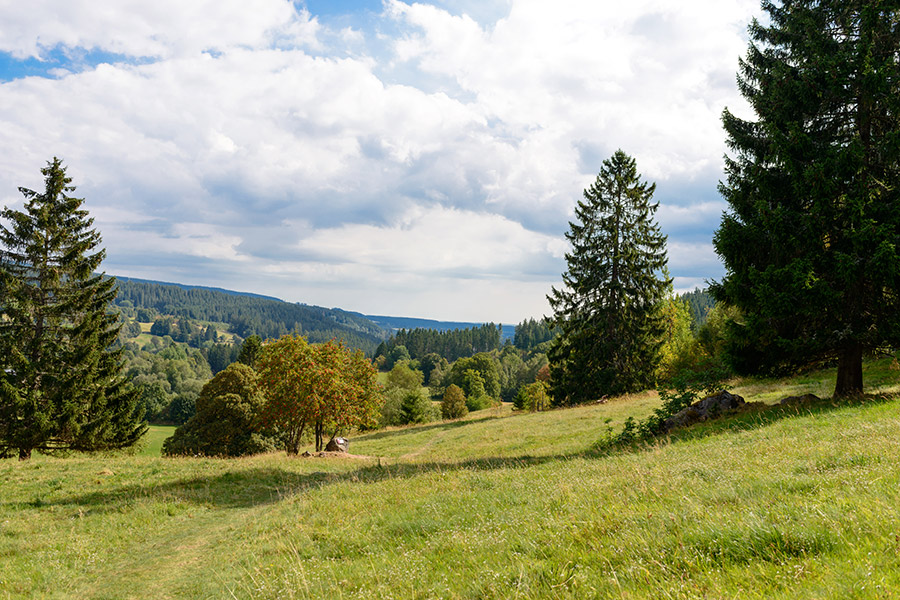 Urlaub Schwarzwald Schwarzwald Eckjörghof - in Peter | Ausflüge Sankt Bauernhof dem auf im